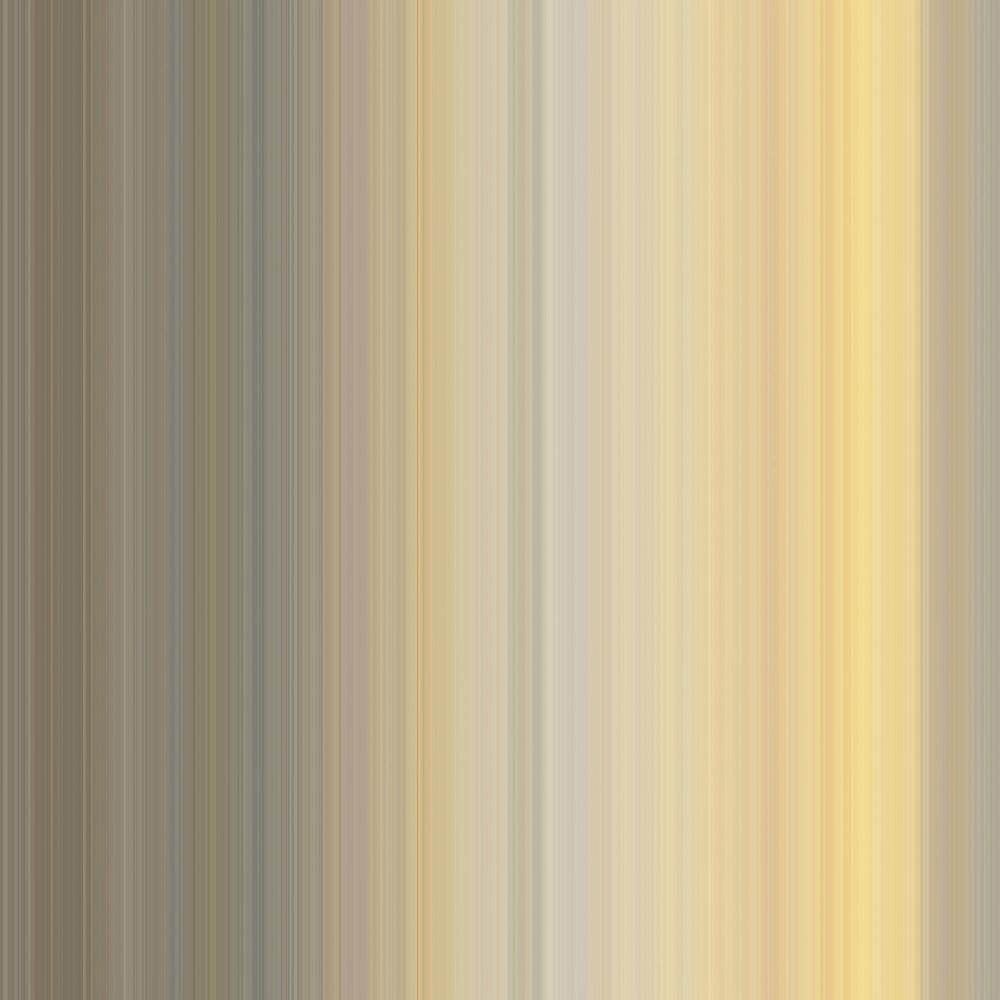Stripe Tease Wallpaper Collection
