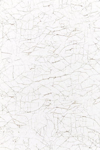 Alcazar col. nature / Memo Sample