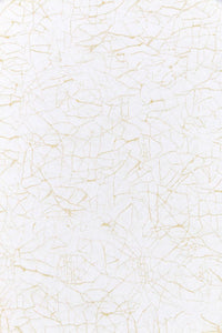 Alcazar col. orange / Memo Sample